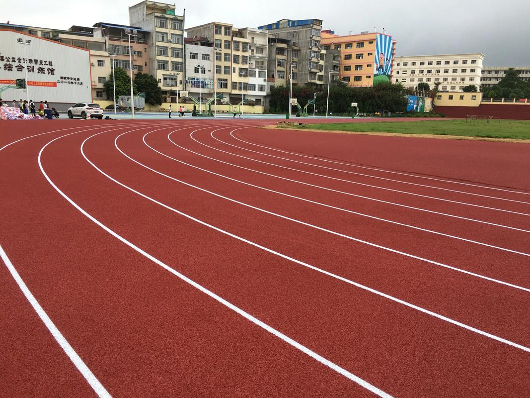 临沧市橡胶跑道塑胶跑道材料 - 厂家